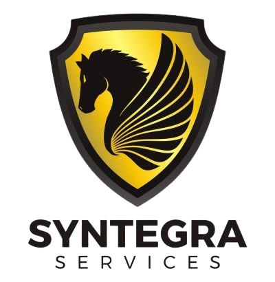 Logo SYNTEGRA SERVICES
